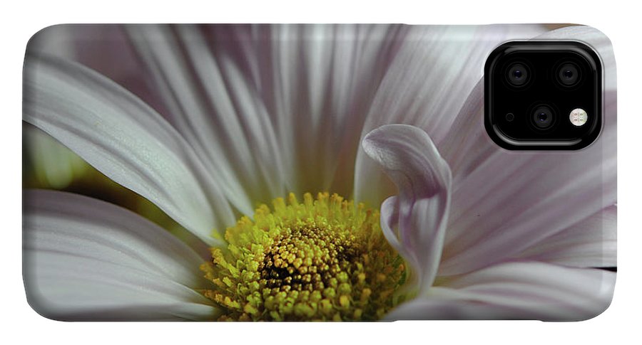 Light Lavender Daisies - Phone Case