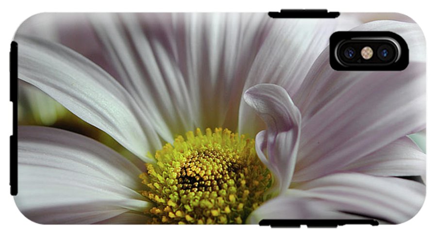 Light Lavender Daisies - Phone Case