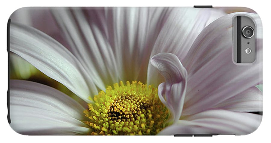 Light Lavender Daisies - Phone Case
