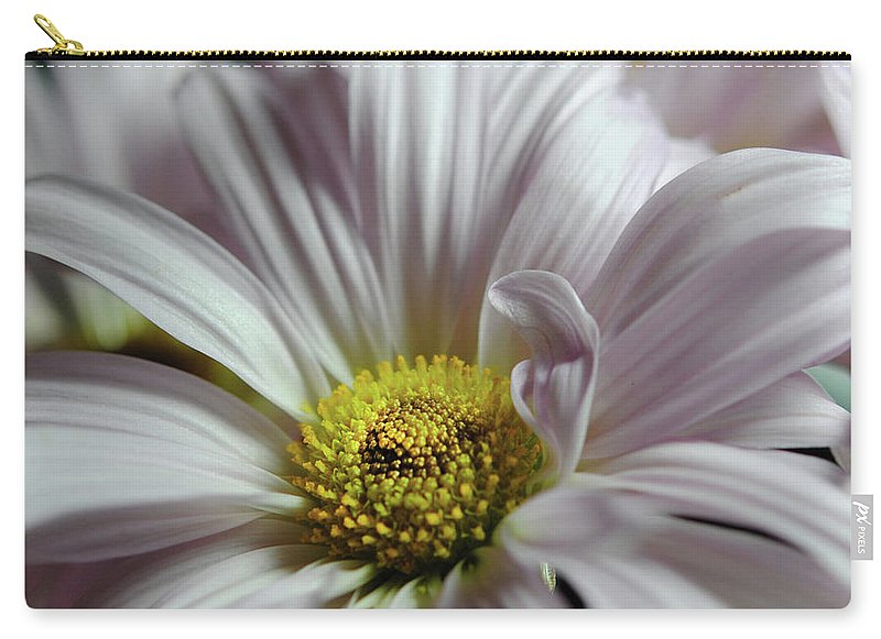 Light Lavender Daisies - Carry-All Pouch