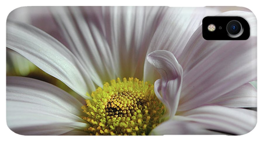 Light Lavender Daisies - Phone Case