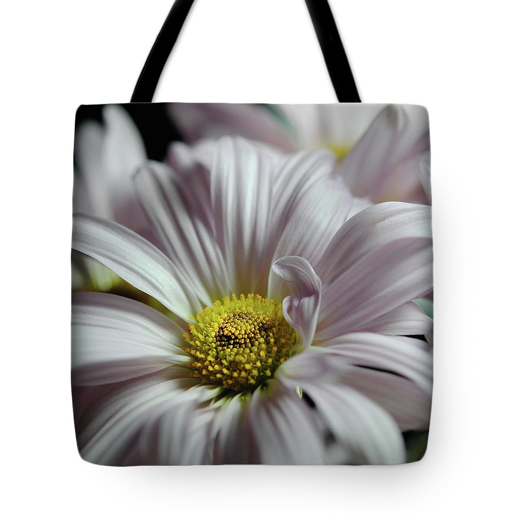 Light Lavender Daisies - Tote Bag