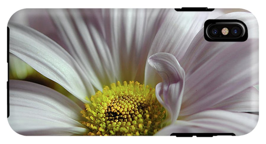 Light Lavender Daisies - Phone Case