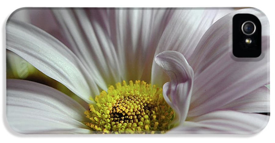 Light Lavender Daisies - Phone Case