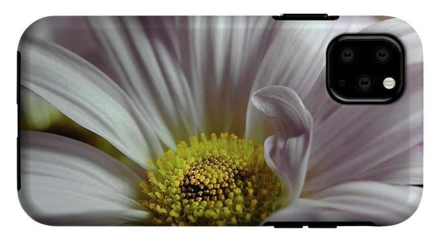 Light Lavender Daisies - Phone Case
