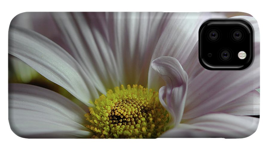 Light Lavender Daisies - Phone Case
