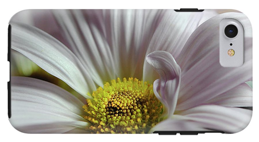 Light Lavender Daisies - Phone Case