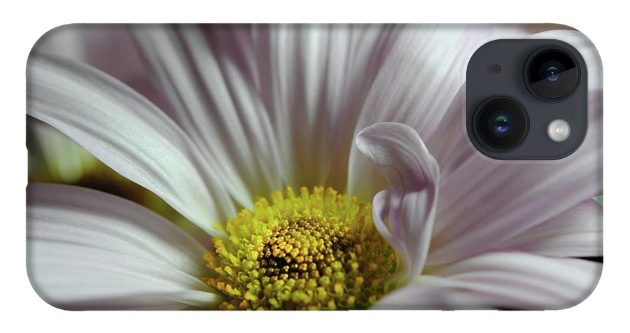 Light Lavender Daisies - Phone Case