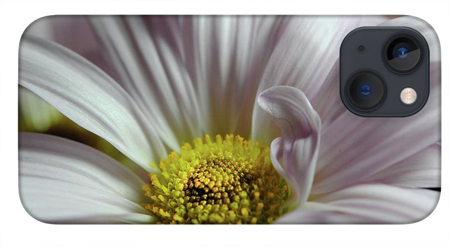 Light Lavender Daisies - Phone Case