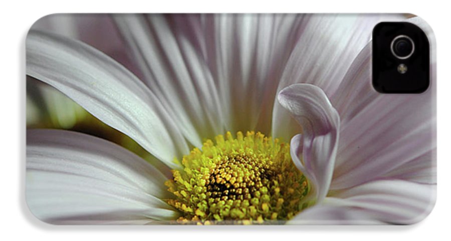 Light Lavender Daisies - Phone Case