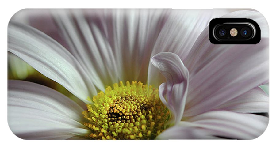 Light Lavender Daisies - Phone Case