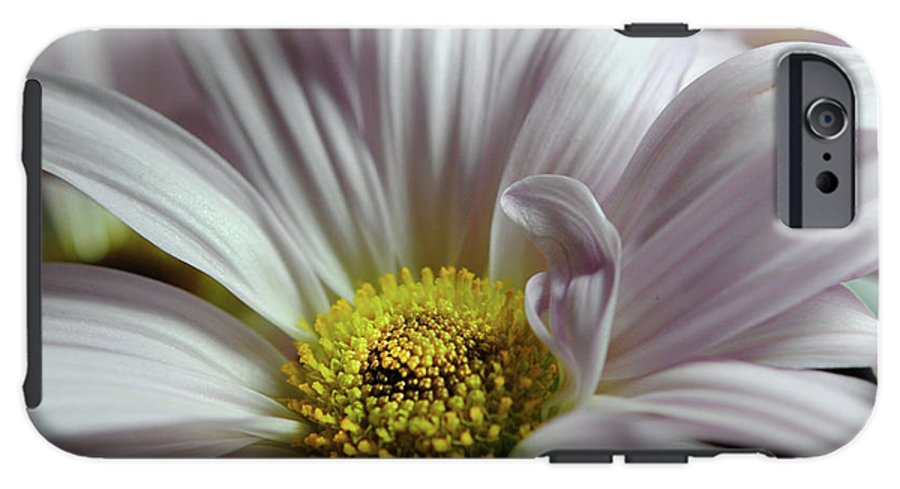Light Lavender Daisies - Phone Case