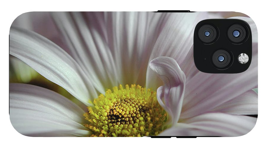 Light Lavender Daisies - Phone Case