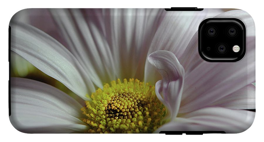Light Lavender Daisies - Phone Case