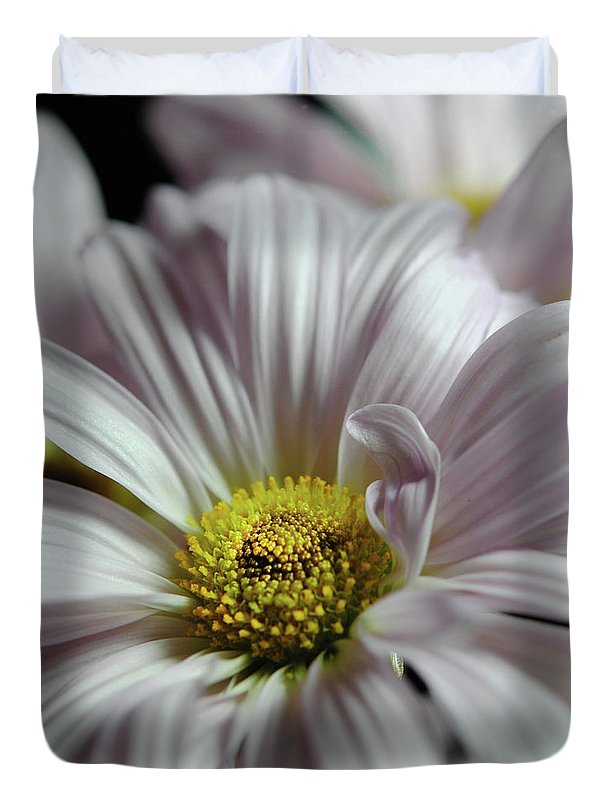 Light Lavender Daisies - Duvet Cover