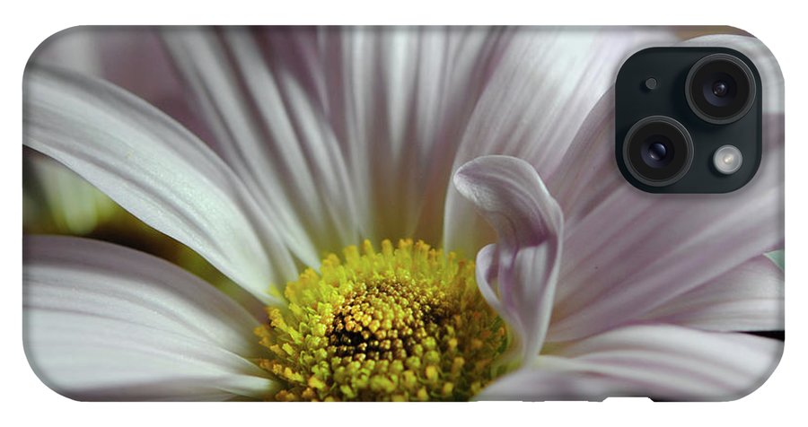 Light Lavender Daisies - Phone Case
