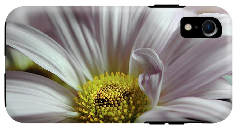 Light Lavender Daisies - Phone Case