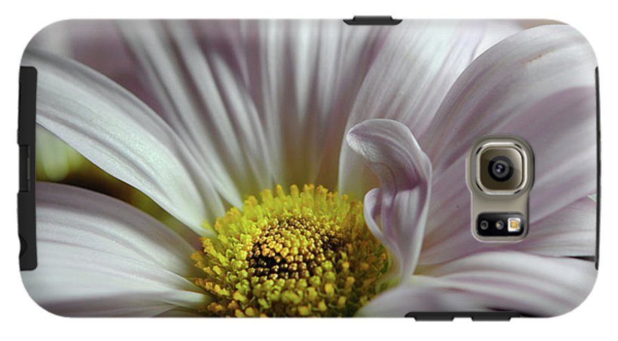 Light Lavender Daisies - Phone Case