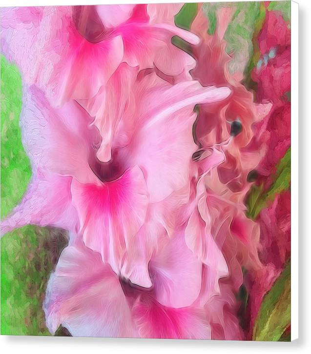Light Pink Gladiolas - Canvas Print