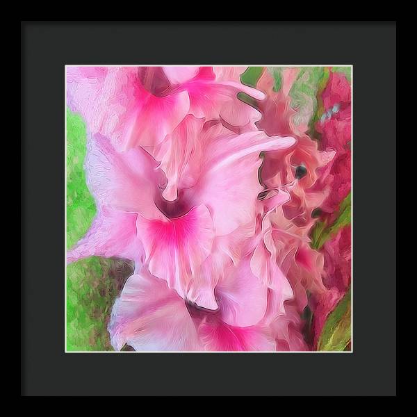 Light Pink Gladiolas - Framed Print