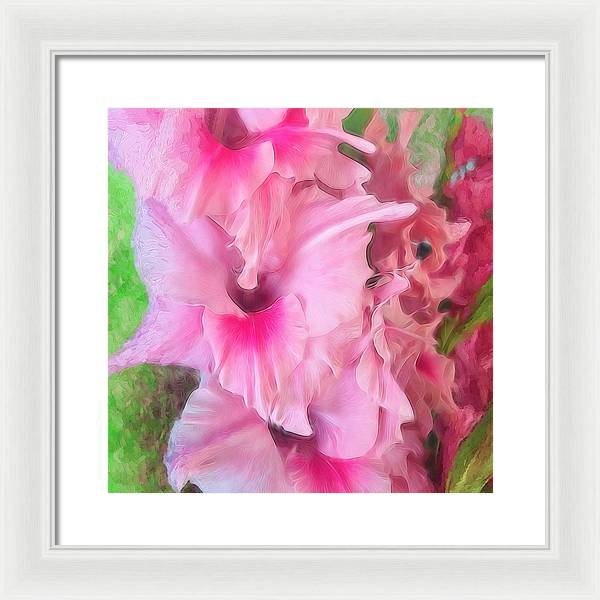 Light Pink Gladiolas - Framed Print