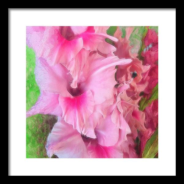 Light Pink Gladiolas - Framed Print