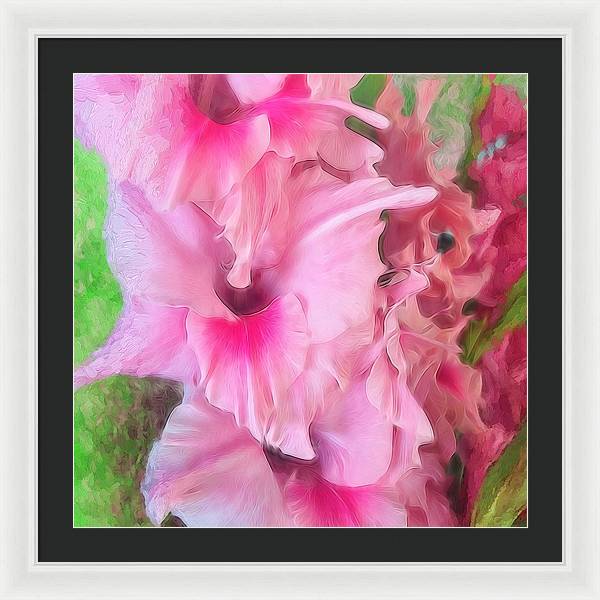 Light Pink Gladiolas - Framed Print