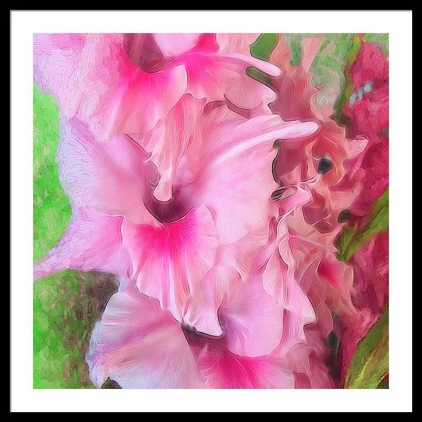 Light Pink Gladiolas - Framed Print