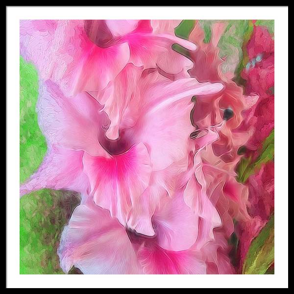 Light Pink Gladiolas - Framed Print