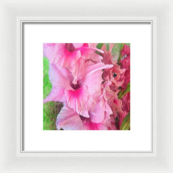 Light Pink Gladiolas - Framed Print