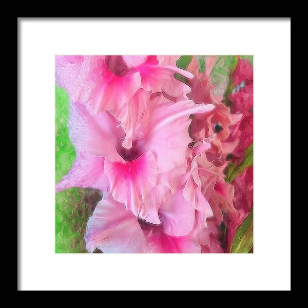 Light Pink Gladiolas - Framed Print