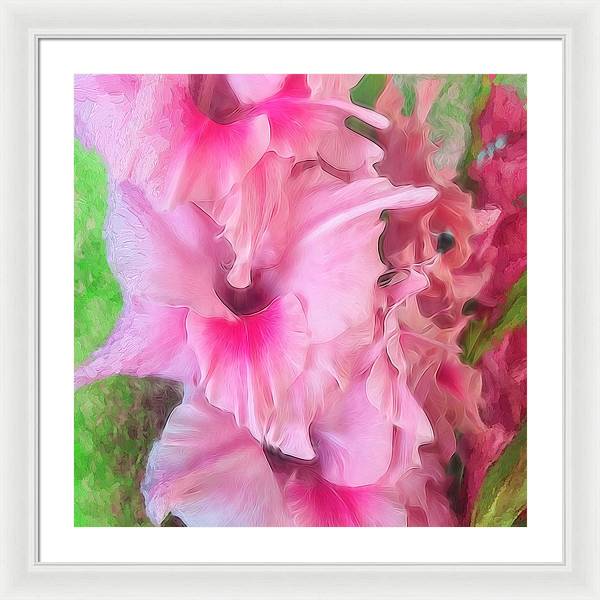 Light Pink Gladiolas - Framed Print