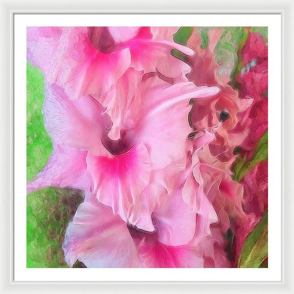 Light Pink Gladiolas - Framed Print