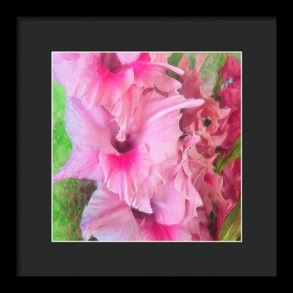 Light Pink Gladiolas - Framed Print