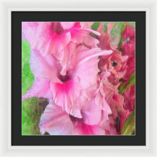 Light Pink Gladiolas - Framed Print