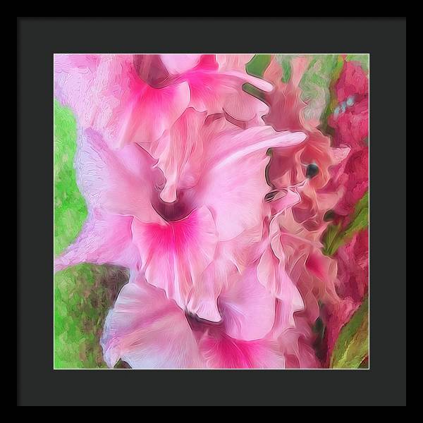 Light Pink Gladiolas - Framed Print