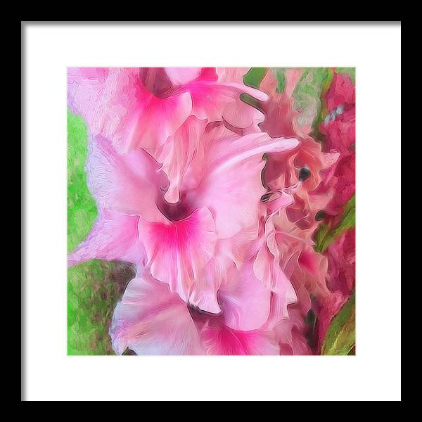 Light Pink Gladiolas - Framed Print