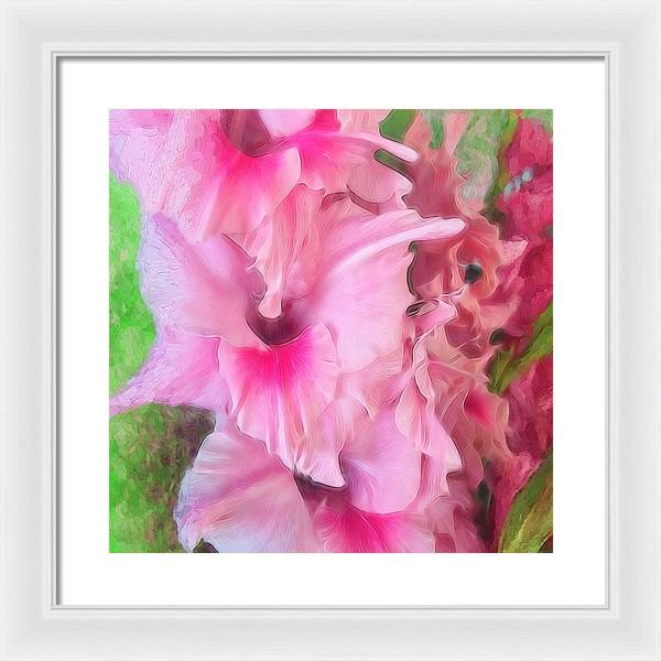 Light Pink Gladiolas - Framed Print