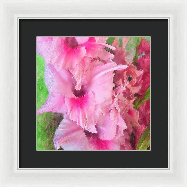 Light Pink Gladiolas - Framed Print
