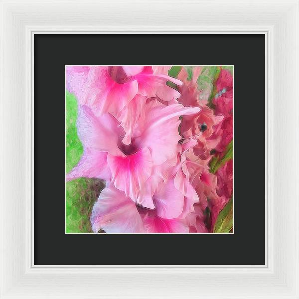 Light Pink Gladiolas - Framed Print