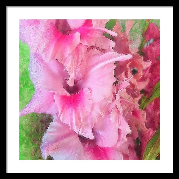 Light Pink Gladiolas - Framed Print