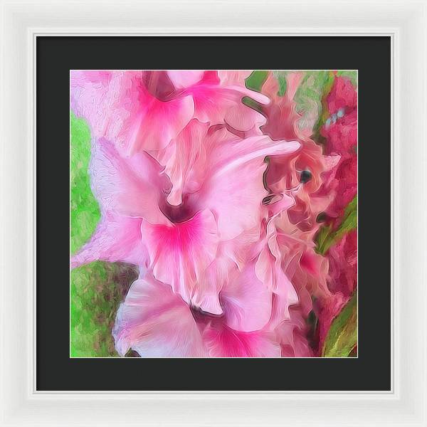 Light Pink Gladiolas - Framed Print