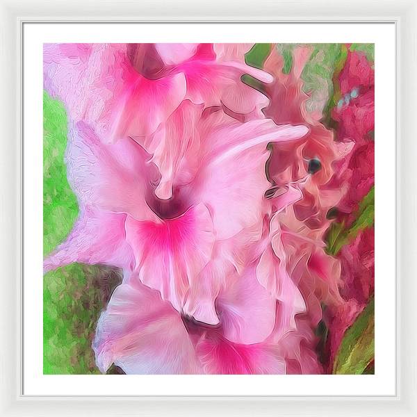 Light Pink Gladiolas - Framed Print