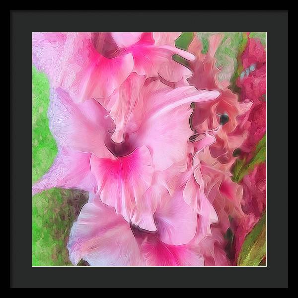 Light Pink Gladiolas - Framed Print