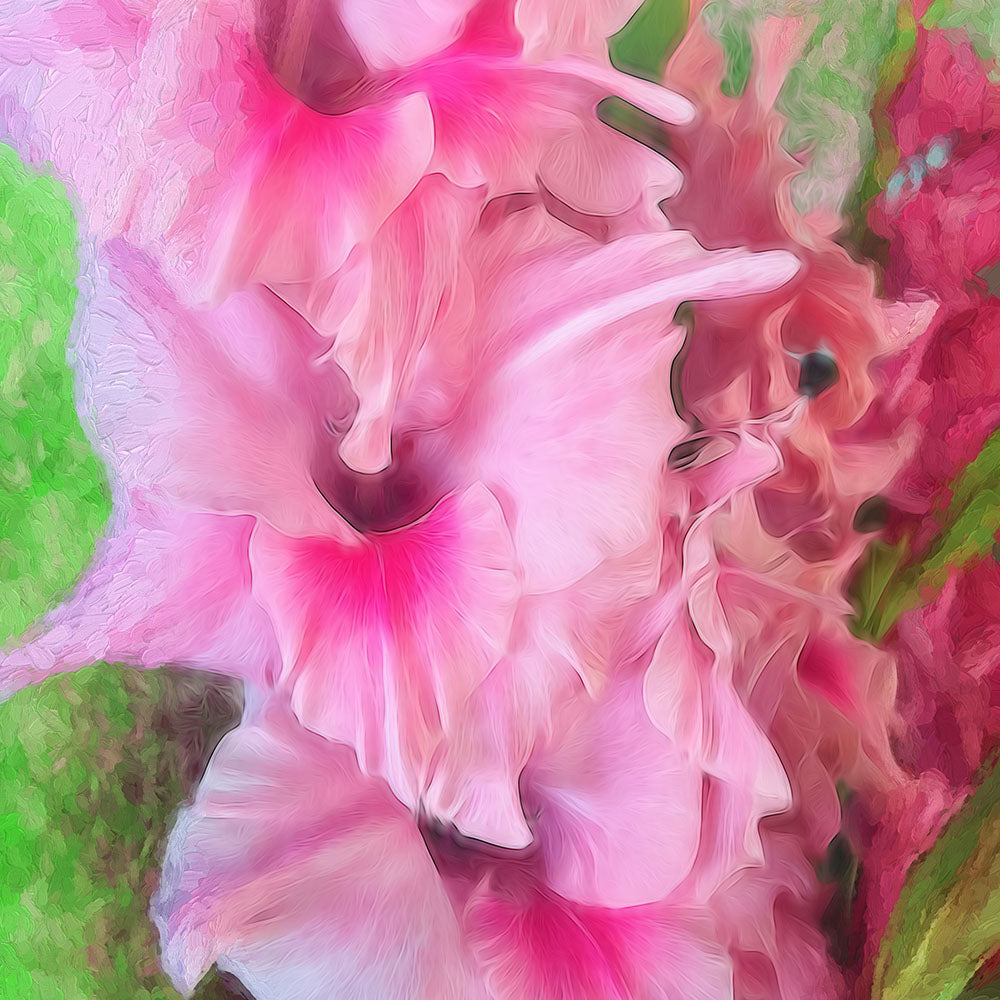 Light Pink Gladiolas Digital Image Download