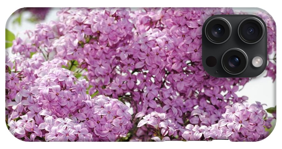 Lilacs With Sky - Phone Case