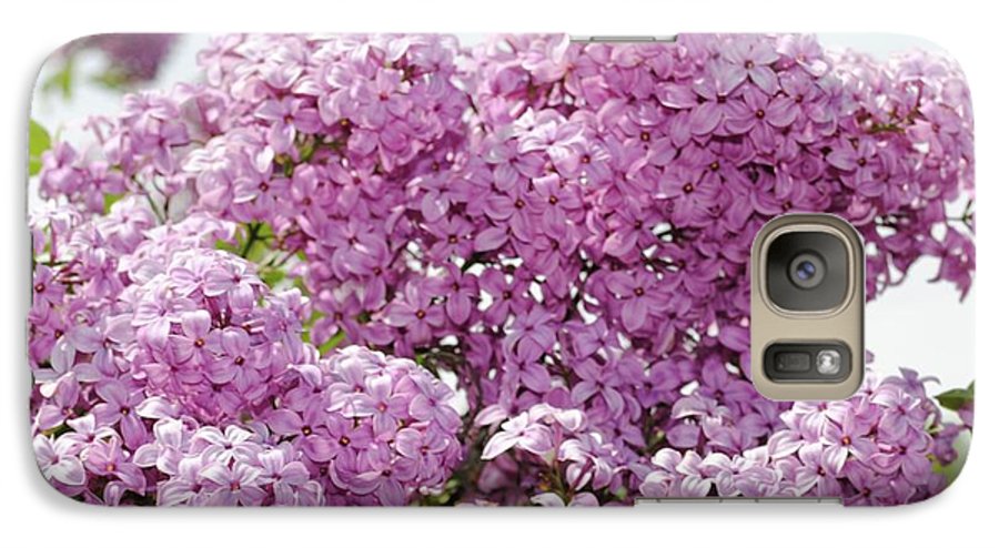 Lilacs With Sky - Phone Case