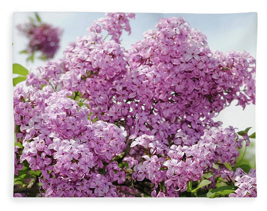 Lilacs With Sky - Blanket