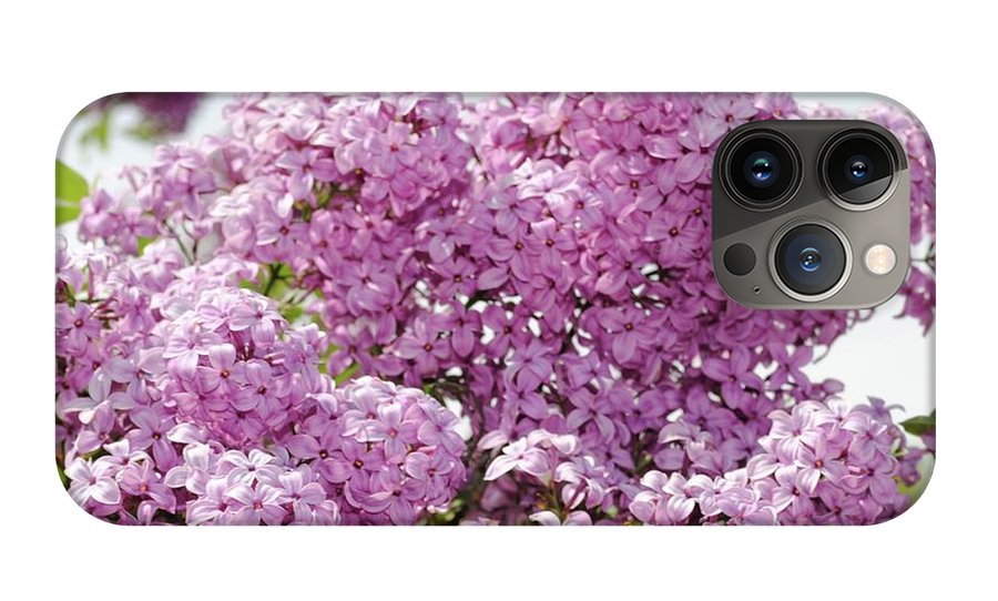 Lilacs With Sky - Phone Case