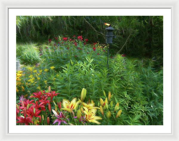 Lily Garden - Framed Print